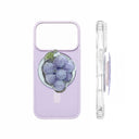 2-in-1 Fruit Pop