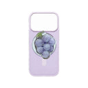 2-in-1 Fruit Pop